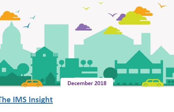 The Insight Issue Dec 2018